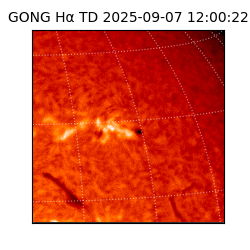 gong - 2025-09-07T12:00:22