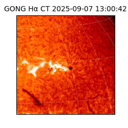 gong - 2025-09-07T13:00:42