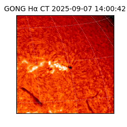 gong - 2025-09-07T14:00:42