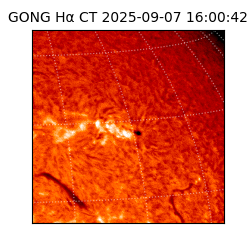 gong - 2025-09-07T16:00:42