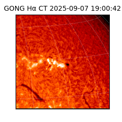gong - 2025-09-07T19:00:42