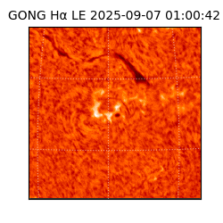 gong - 2025-09-07T01:00:42