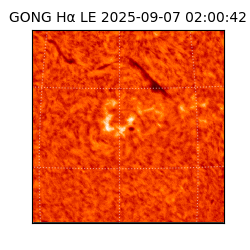 gong - 2025-09-07T02:00:42