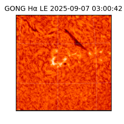 gong - 2025-09-07T03:00:42