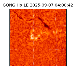 gong - 2025-09-07T04:00:42