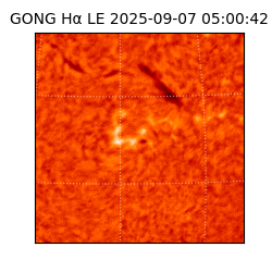 gong - 2025-09-07T05:00:42