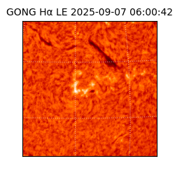 gong - 2025-09-07T06:00:42