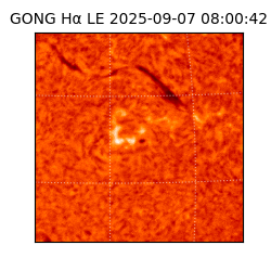 gong - 2025-09-07T08:00:42