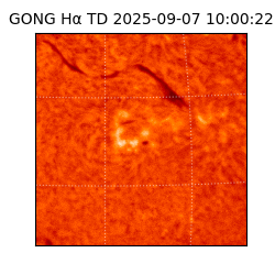 gong - 2025-09-07T10:00:22