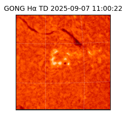 gong - 2025-09-07T11:00:22