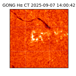 gong - 2025-09-07T14:00:42
