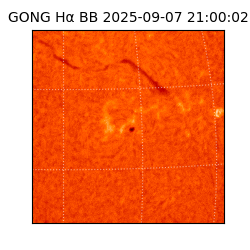 gong - 2025-09-07T21:00:02