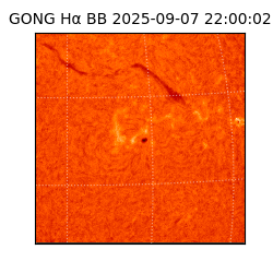 gong - 2025-09-07T22:00:02