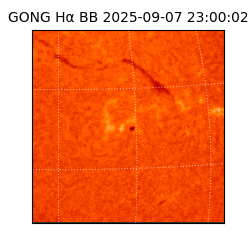 gong - 2025-09-07T23:00:02