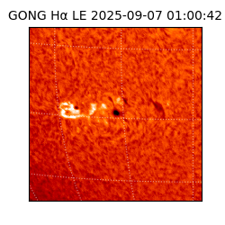 gong - 2025-09-07T01:00:42