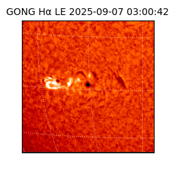 gong - 2025-09-07T03:00:42