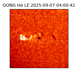 gong - 2025-09-07T04:00:42