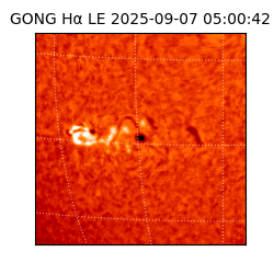 gong - 2025-09-07T05:00:42