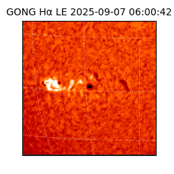 gong - 2025-09-07T06:00:42