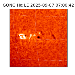 gong - 2025-09-07T07:00:42