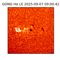 gong - 2025-09-07T09:00:42