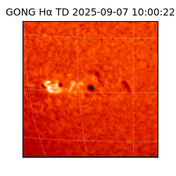 gong - 2025-09-07T10:00:22