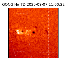 gong - 2025-09-07T11:00:22