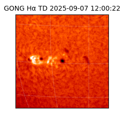 gong - 2025-09-07T12:00:22