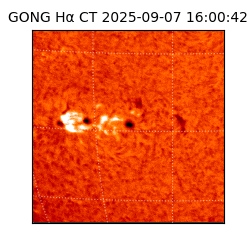 gong - 2025-09-07T16:00:42