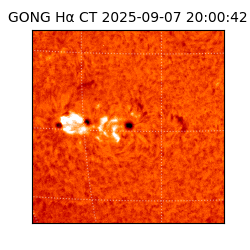 gong - 2025-09-07T20:00:42