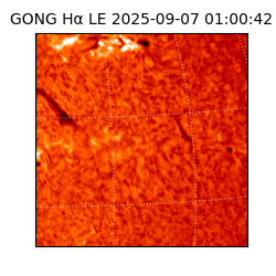 gong - 2025-09-07T01:00:42