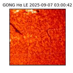 gong - 2025-09-07T03:00:42