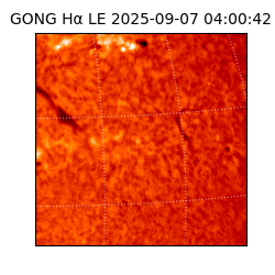 gong - 2025-09-07T04:00:42