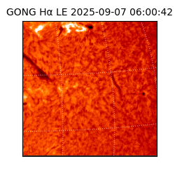 gong - 2025-09-07T06:00:42