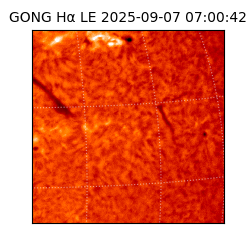 gong - 2025-09-07T07:00:42