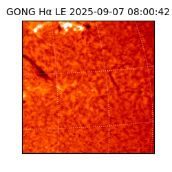 gong - 2025-09-07T08:00:42