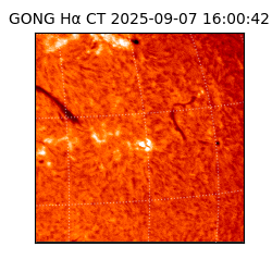 gong - 2025-09-07T16:00:42