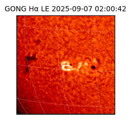 gong - 2025-09-07T02:00:42