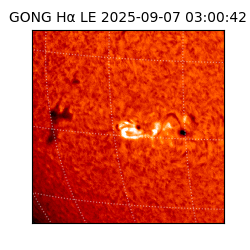 gong - 2025-09-07T03:00:42