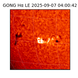 gong - 2025-09-07T04:00:42