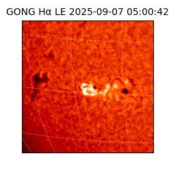 gong - 2025-09-07T05:00:42