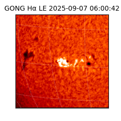 gong - 2025-09-07T06:00:42