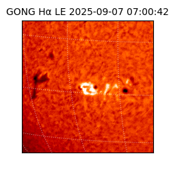 gong - 2025-09-07T07:00:42