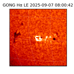 gong - 2025-09-07T08:00:42