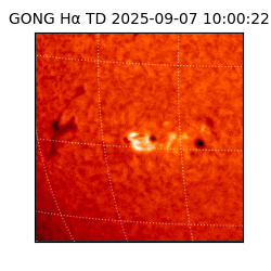 gong - 2025-09-07T10:00:22