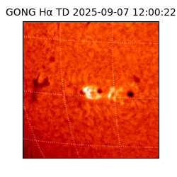 gong - 2025-09-07T12:00:22