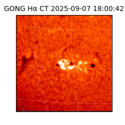 gong - 2025-09-07T18:00:42