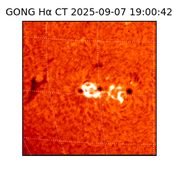 gong - 2025-09-07T19:00:42