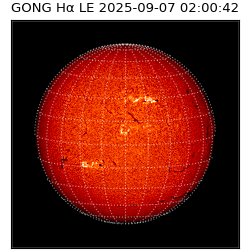 gong - 2025-09-07T02:00:42