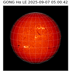 gong - 2025-09-07T05:00:42